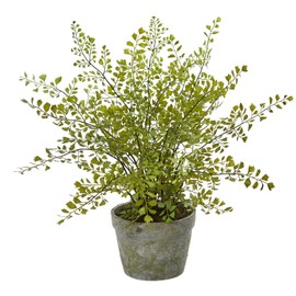 HomeStock Country Cottage 16" Maiden Hair and Fern Artificial Plant in Decorative Grey Planter with Moss, Indoor Home Decor Accent, No-Maintenance, Life-Like Foliage, 16" D x 16" W x 13" H