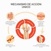 Collanol Innovacin en el cuidado de las articulaciones sanas frmula