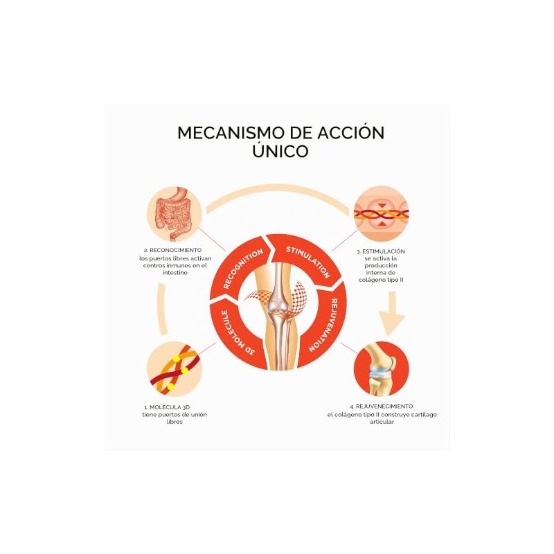 Collanol Innovacin en el cuidado de las articulaciones sanas frmula