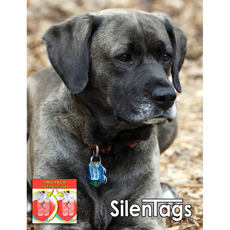 SilenTags Pet Tag Silencer (Clear Two Pack)