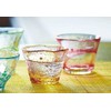 Tsugaru Biidoro Mini Glass Set Glass Five Different by Aderia