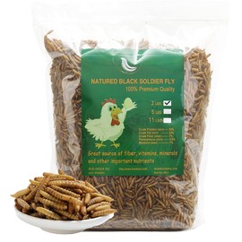 Euchirus Non-GMO High-Protein Large Dried Black Soldier Fly Larva for Chickens, Natural Grubs and Poultry Treats as Chicken Feed,Duck Food, Wild Birds Seed,Reptile Food(Black Soldier fly-10LB)
