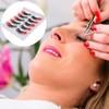 Baluue Elegant 5 Pair False Eyelashes Set Long Eye Lashes