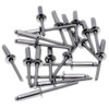 M3.2 (3.2mm x 6mm) Dome Blind Rivet - Stainless Steel
