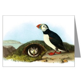 Twelve Assorted Notecards Of John James Audubon Celebrated Illustrations Of Audubon's Birds Of North America Featuring Series II