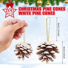 100 Pieces Pine Cones for Christmas Tree White Christmas Pine Cones Ornaments Pine Cones Decorations Frosted Mini Pine Cones Xmas Pinecones with String Pendant Crafts for Farmhouse Winter Party