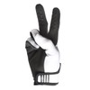 FASTHOUSE Carbon Eternal Glove (White, Large)