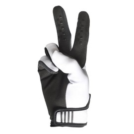 FASTHOUSE Carbon Eternal Glove (White, Large)