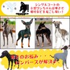 LEONIA Italian Greyhound Italian Greyhound Miniature Pinscher Advanced Elastic Rib