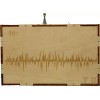 Kaito DIY-63 Build Your Own Radio AM/FM Radio Kit