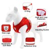 Dog Harness and Lead Set, Soft Mesh Padded Harness, Air