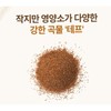 자연 발효 곡물 테프 효소 유산균 당효소 난소화성 식이섬유 복합물