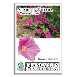 Scarlet O'Hara Morning Glory Seeds for Planting, 50+ Flower Seeds Per Packet, (Isla's Garden Seeds), Non GMO & Heirloom Seeds, Botanical Name: Ipomoea Nil, Great Home Garden Gift