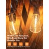 SUNSGNE 25Pack LED String Light Bulbs, ST38 Shatterproof Replacement Bulbs