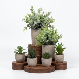 6 Pack Fake Plants Succulents Eucalyptus Small Cement Pots Indoor Decor
