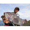 Berkley Max Scent Pultale 4.2" Camo PBMSPT4.2-C Black Bass Rockfish