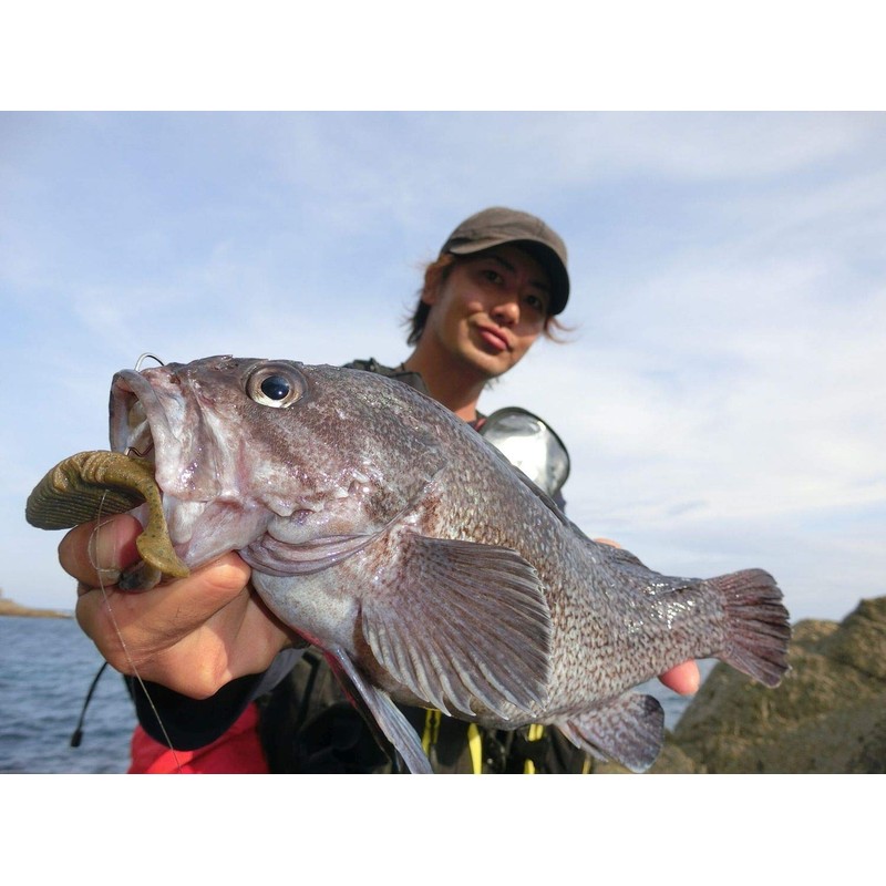 Berkley Max Scent Pultale 4.2" Camo PBMSPT4.2-C Black Bass Rockfish