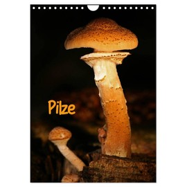 Mushrooms (Wall Calendar 2025 DIN A4 High), CALVENDO Monthly Calendar