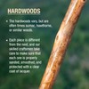 Brazos Rustic Wood Walking Stick, Hardwood, Traditional Style Handle, for