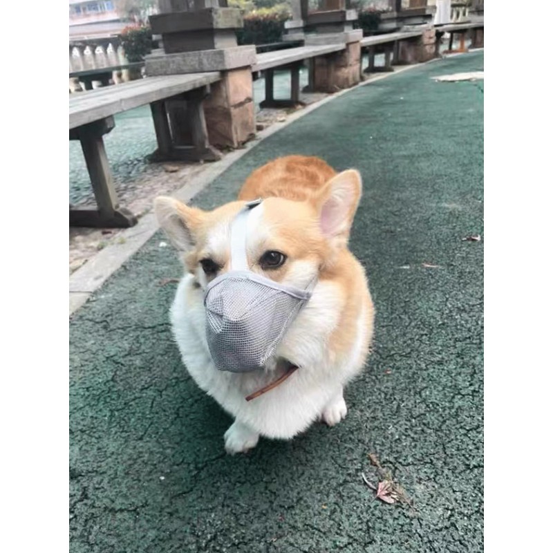 Dog Muzzle for Large Medium Small Dogs, Full-Covered Soft Mesh