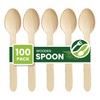 Eco Leaf 100pcs Disposable Wooden Spoons, 16cm, Biodegradable & Compostable
