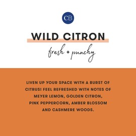 Capri Blue Wild Citron Pura Smart Home Plug-in Diffuser Refills – Scented Pura Refills – Pura Diffuser Refills with Citrus Scents – Long-Lasting Aromatherapy Diffuser Refills (Pack of 2)