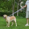 Kidding Pets Waterproof Dog Leash with Poop Bag Holder, 5FT/6FT