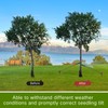 Sintuff 9 Set Heavy Duty Tree Stake Kit 15.75 Inches/