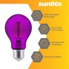 Sunlite 81081 LED Colored Filament A19 Light Bulb, 4.5 Watts,