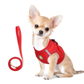 TQFlow Cat Harness and Leash Set for Walking, Kitten Puppy Escape Proof Small Dog Harness Soft Mesh,Adjustable Cat Vest Harnesses, Reflective Kitten Harness No Pull Step in (Small,Red)