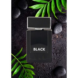 Nicole Miller Black Mens Eau De Toilette Spray 3.4 Oz