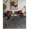 Latte&Fog 5x7 Area Rugs for Living Room Bedroom, Black Modern