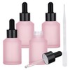 Segbeauty 2oz Travel Frosted Glass Dropper Bottle, 2 Pack 60ml
