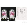 Art Four Seasons Phalaenopsis Denfare Dome Versus Design SET Pink