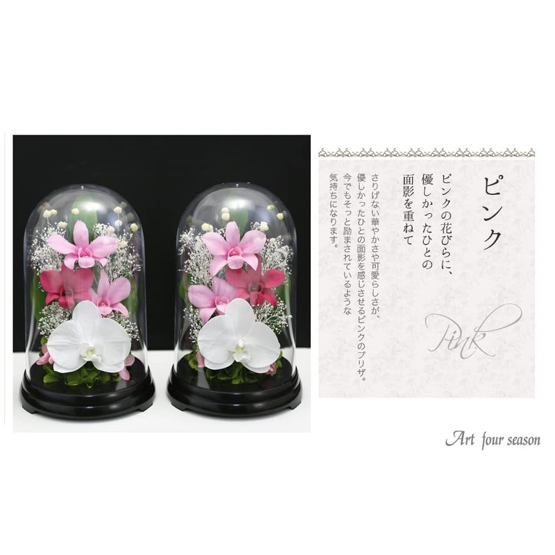 Art Four Seasons Phalaenopsis Denfare Dome Versus Design SET Pink