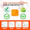 2LB Fonday Premium Moisture Indicating Silica Gel Desiccant Orange to
