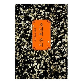 Korean Books, Korean Novel/이탈리아 말라파르테 문학상/소년이 온다 – 한강 Han Kang/2014년 올해의 책 Top 10/Shipping from Korea