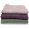Ecovask Dish Cloth 3pc Variety Pack Organic Cotton, Pool Party