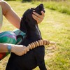 tuuli Wooden Massager Dog Cow Horse Massage Brush Pet Massage