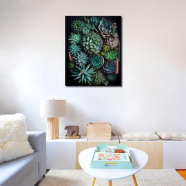 TISHIRON Succulents Paint by Numbers Adults, Plants Painting by Numbers Kits on Canvas, Flowers Painting by Numbers Kit for Adults, DIY Acrylic Painting Crafts 40 x 50 cm (Frameless)