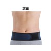 Back Support Belt, Tamoto, Navy x Green, Size M