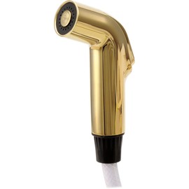 Delta Faucet RP39345PB Spray and Hose Assembly, Polished Brass
