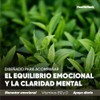 Suplemento Estado de Ánimo Multivitamincio con NAC SAMe 5-HTP L-Teanina