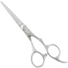 Axis Professional Shears for Hairdressing YR Set, 6.0 Inches, 15%