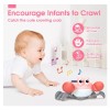 TooyBing light up walking Musical Crawling Crab Baby Toy Toys