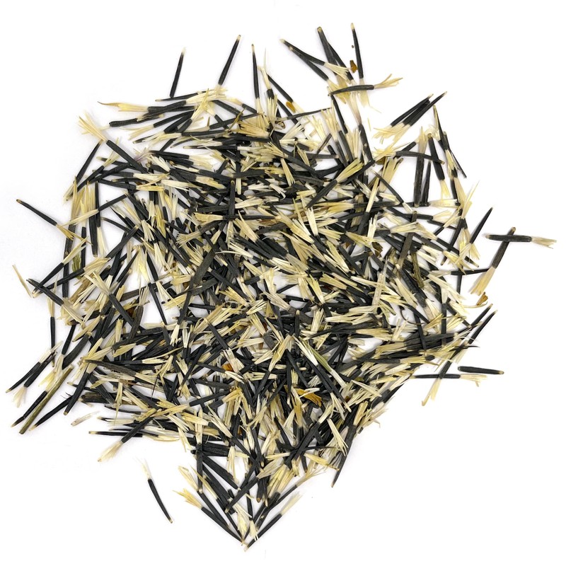 The Old Farmer's Almanac Marigold Seeds (Crackerjack Mix) - Approx