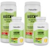 NaturalSlim Ultimate Metabolic Support Duo: MagicMag Magnesium & Kadsorb Potassium