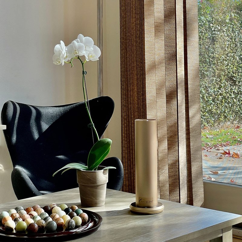 Natscent Black Bamboo Essential Oils for Diffusers for Home, Nature-derived