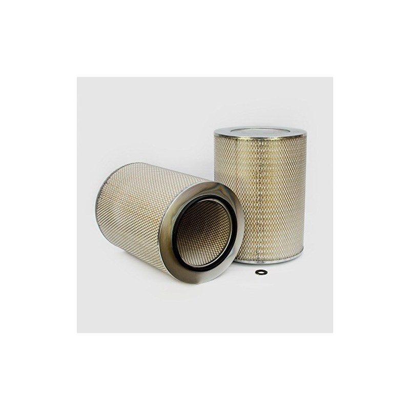 Donaldson P182041 Air Filter, Primary