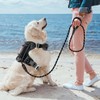 BARKBAY No Pull Dog Harness 3 Buckles Large Reflective Dog